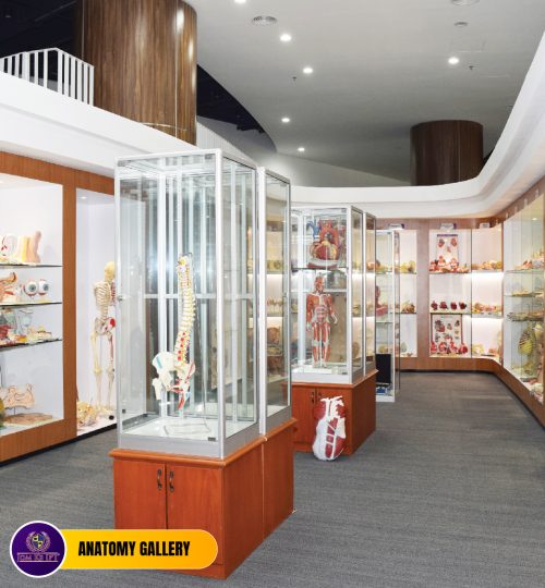 WEBSITE FASILITIES-07