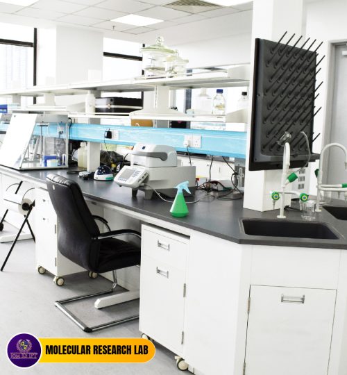 WEBSITE FASILITIES-13